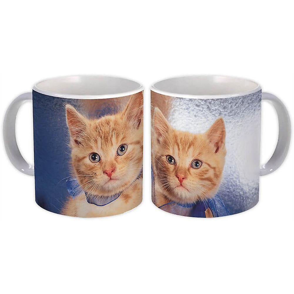 Presentmugg: Kattdjur