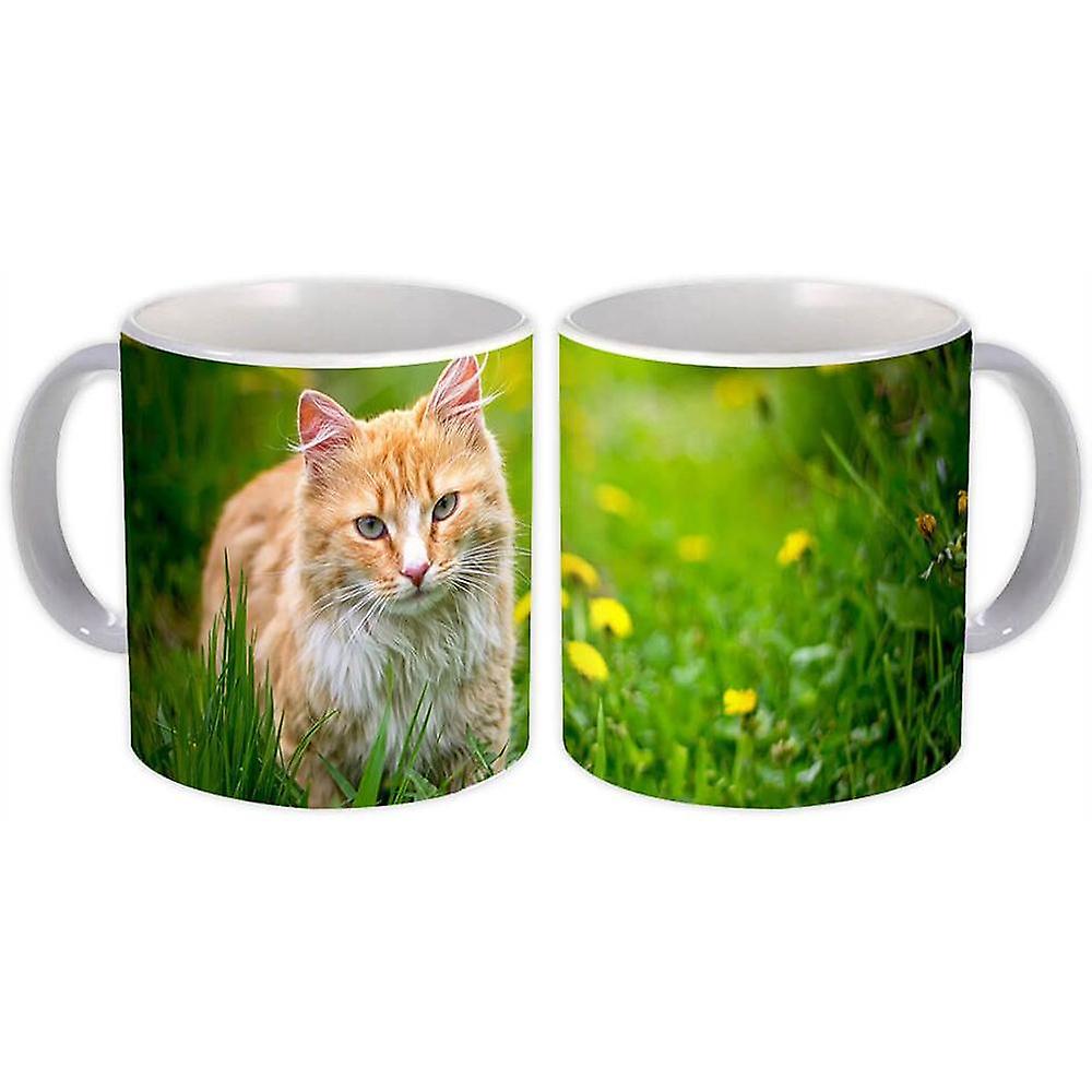 Gift Mug: Cat Animal