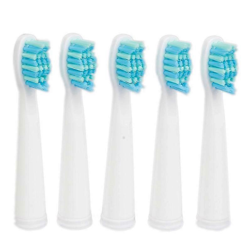 5pcs / סט ראש מברשת שיניים Seago עבור Seago SG610 SG908 SG917 910 507 515 949 958 מברשת שיניים החלפת מברשת שיניים חשמלית ראש מברשת שיניים g20242046463