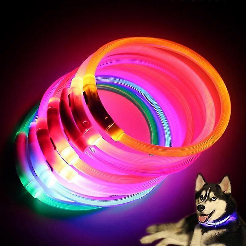 Coleira LED para cachorro recarregável, luminosa, com carregamento USB, para filhotes, para áreas externas