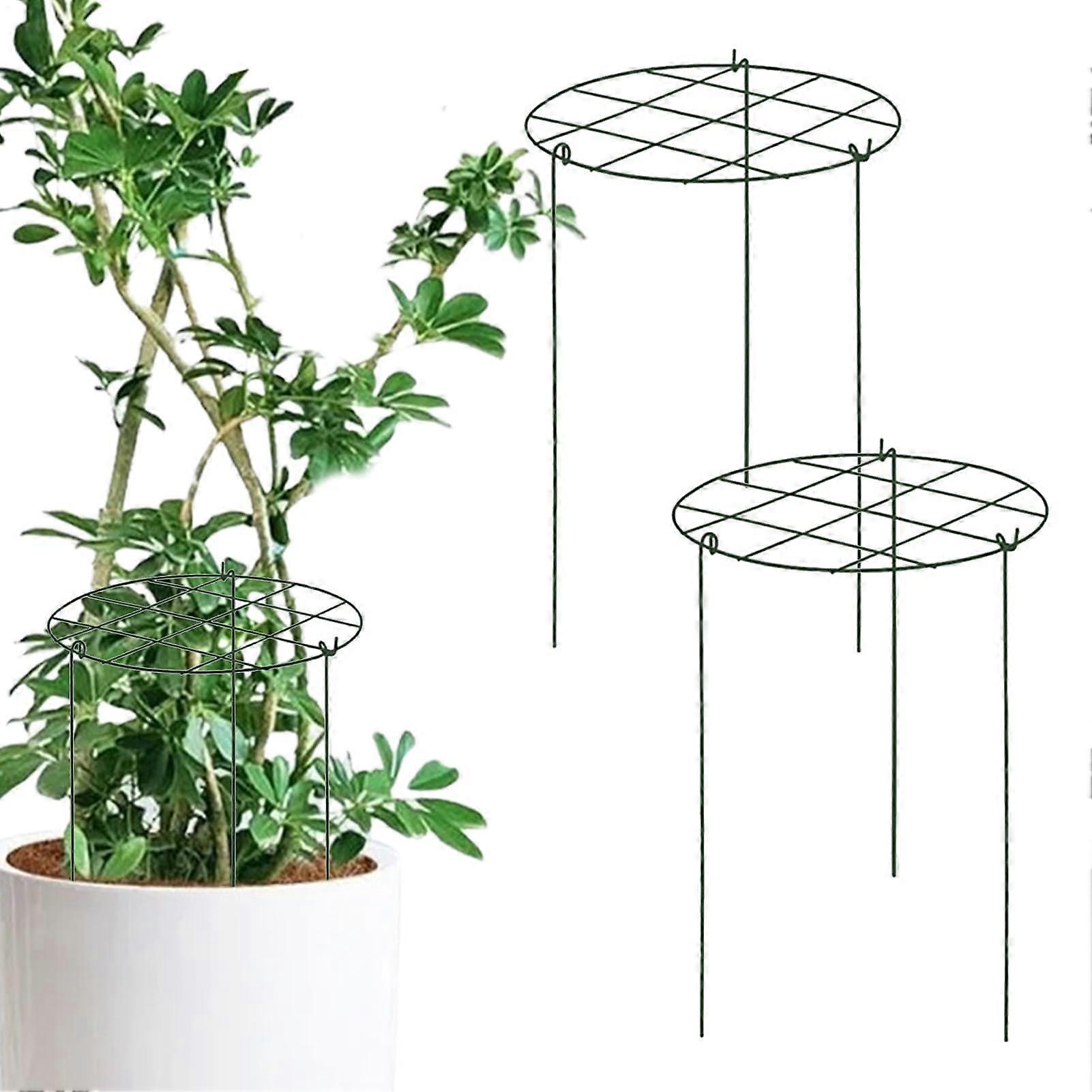 Garden Trellis for Climbing Plants - Metal Small Support Cage for Tomato Grape Cucumber Rose - Outdoor Patio Yard Use