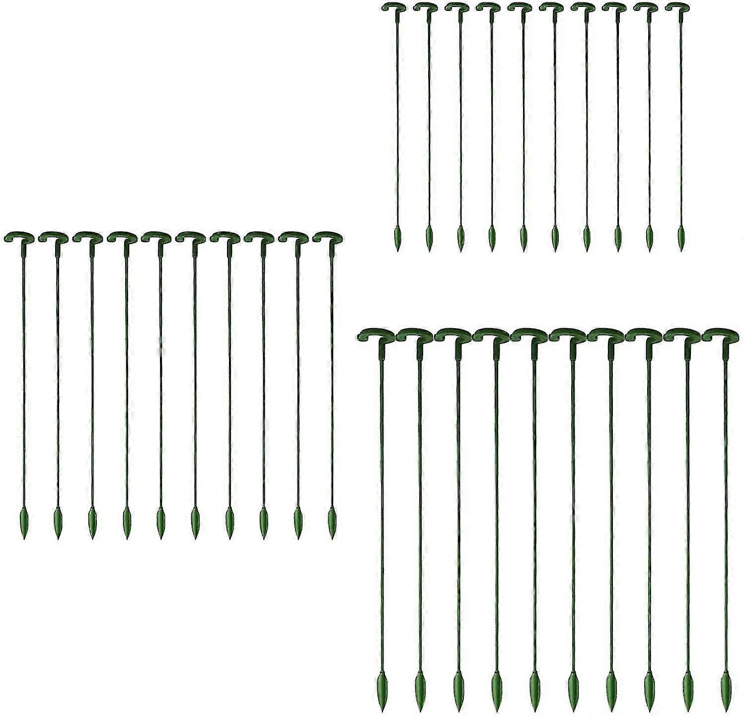 30 נתחי צמח גן ארוזים, גבעולים בודדים, יתדות פרחים, סחלב, אדמונית, שושן, ורד