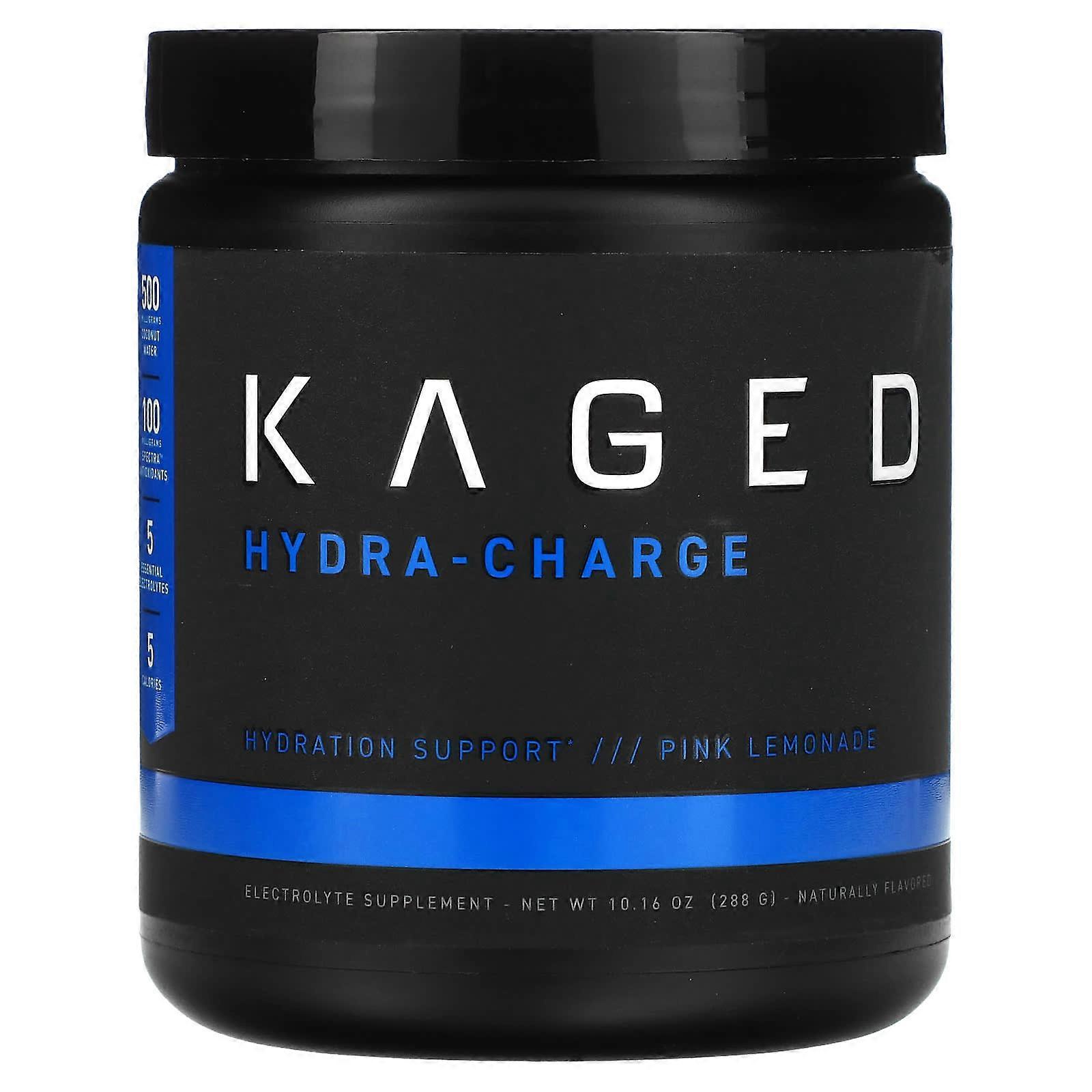Hydra-Charge, Pink Lemonade, 10.16 oz (288 g)