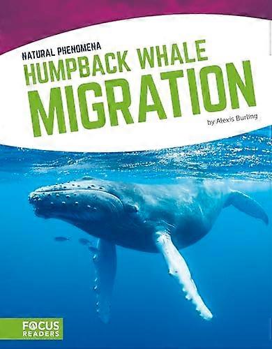 Humpback Whale Migration