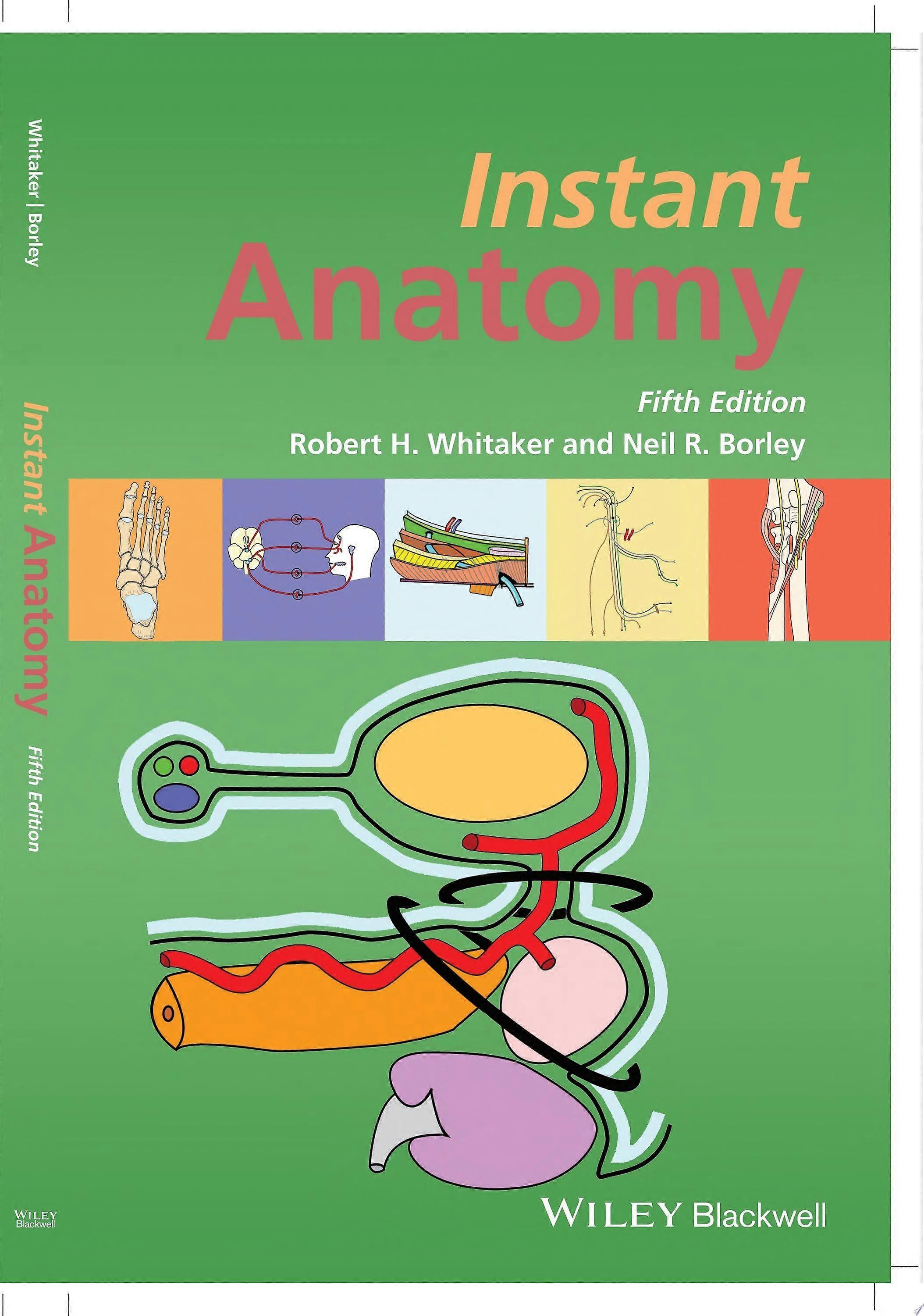 Instant anatomy
