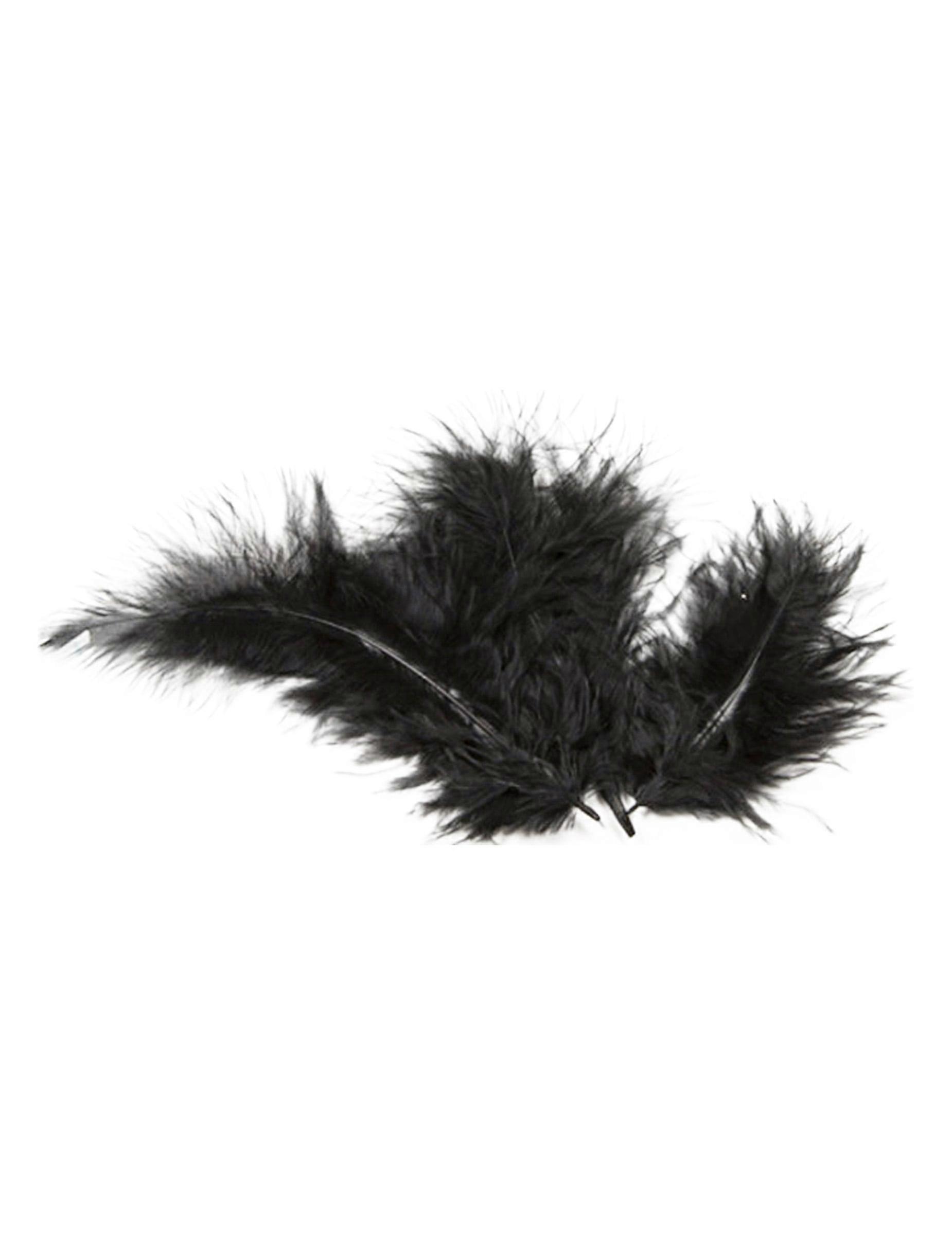 20 Pene Decorative Negre 5,5 cm