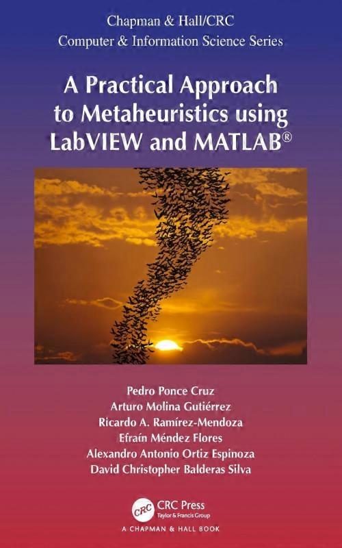 A Practical Approach To Metaheuristics Using Labview And Matlab