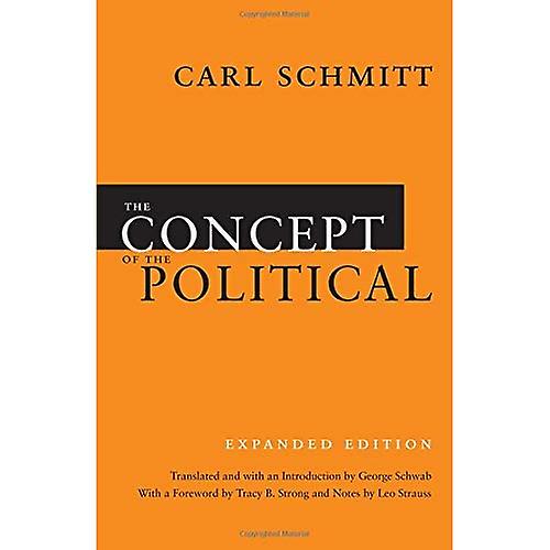 Das Konzept des politischen