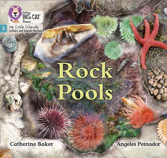 Rock Pools by Catherine Baker Paperback