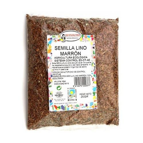 Linseed Seed Brown Bio 500 g