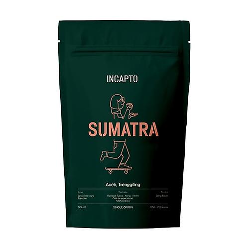 Sumatran Coffee Aceh Trenggiling 500 g