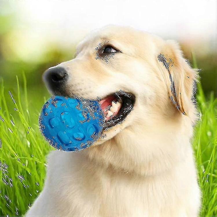 Pet Sounding Toy Elastic Ball Golden Retriever Puppy Molar Resistant Tooth Toy, Taille: 8 * 8cm
