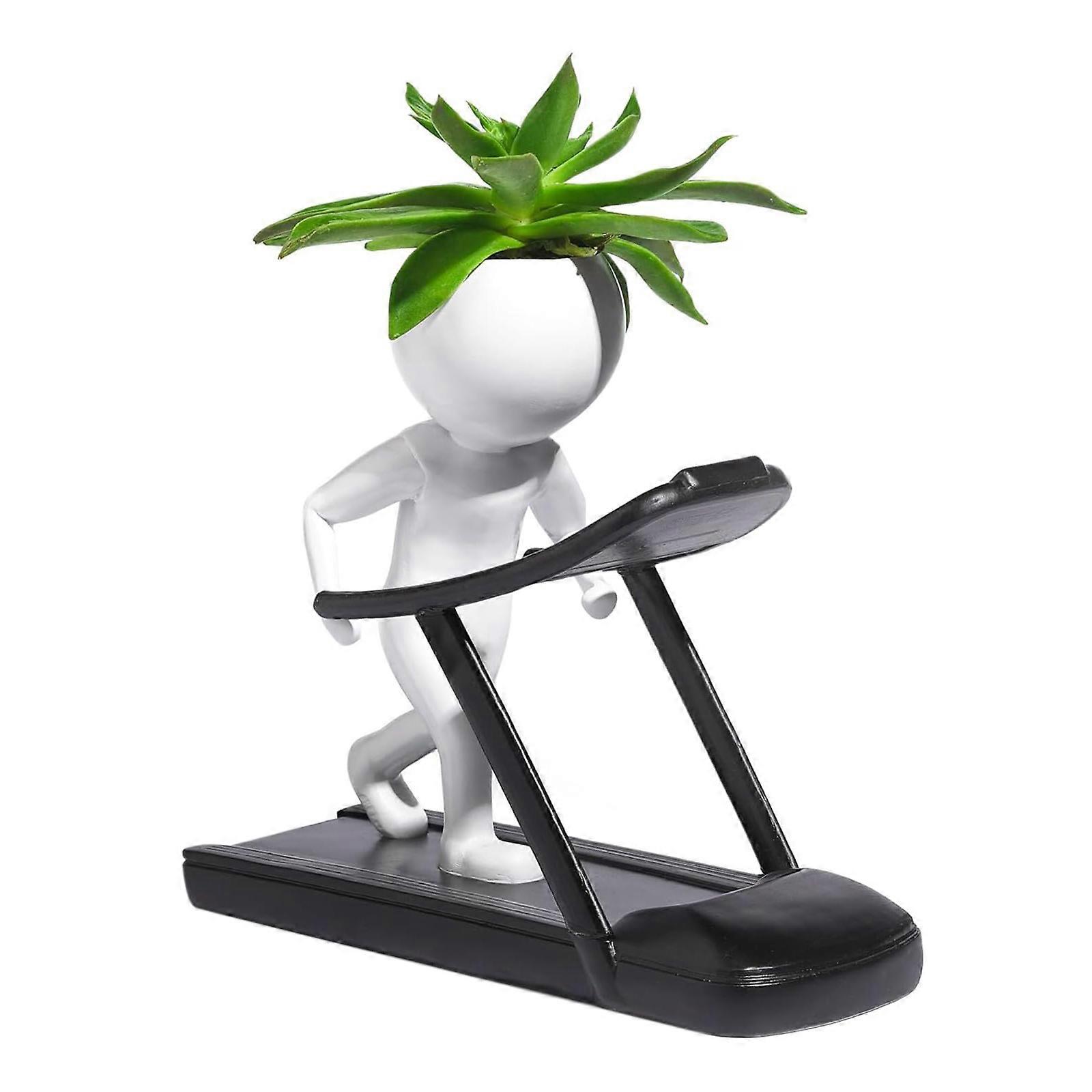 עציץ עסיסי להרמת משקולות, עציץ עסיסי לחדר כושר, עציץ עסיסי כושר, קישוט חדר כושר, מתנות להרמת משקולות, 50% הצעה