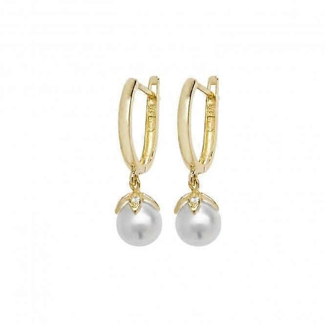 9ct Yellow Gold Drop Earrings ER1134