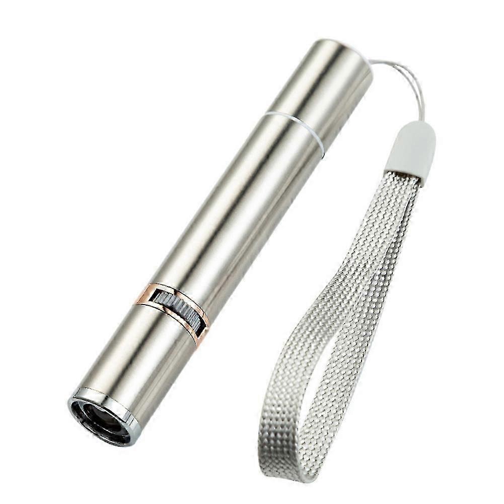 3 in 1 Multi Function Premium Cat Toy Laser Pointer USB Charging LED Torch Light