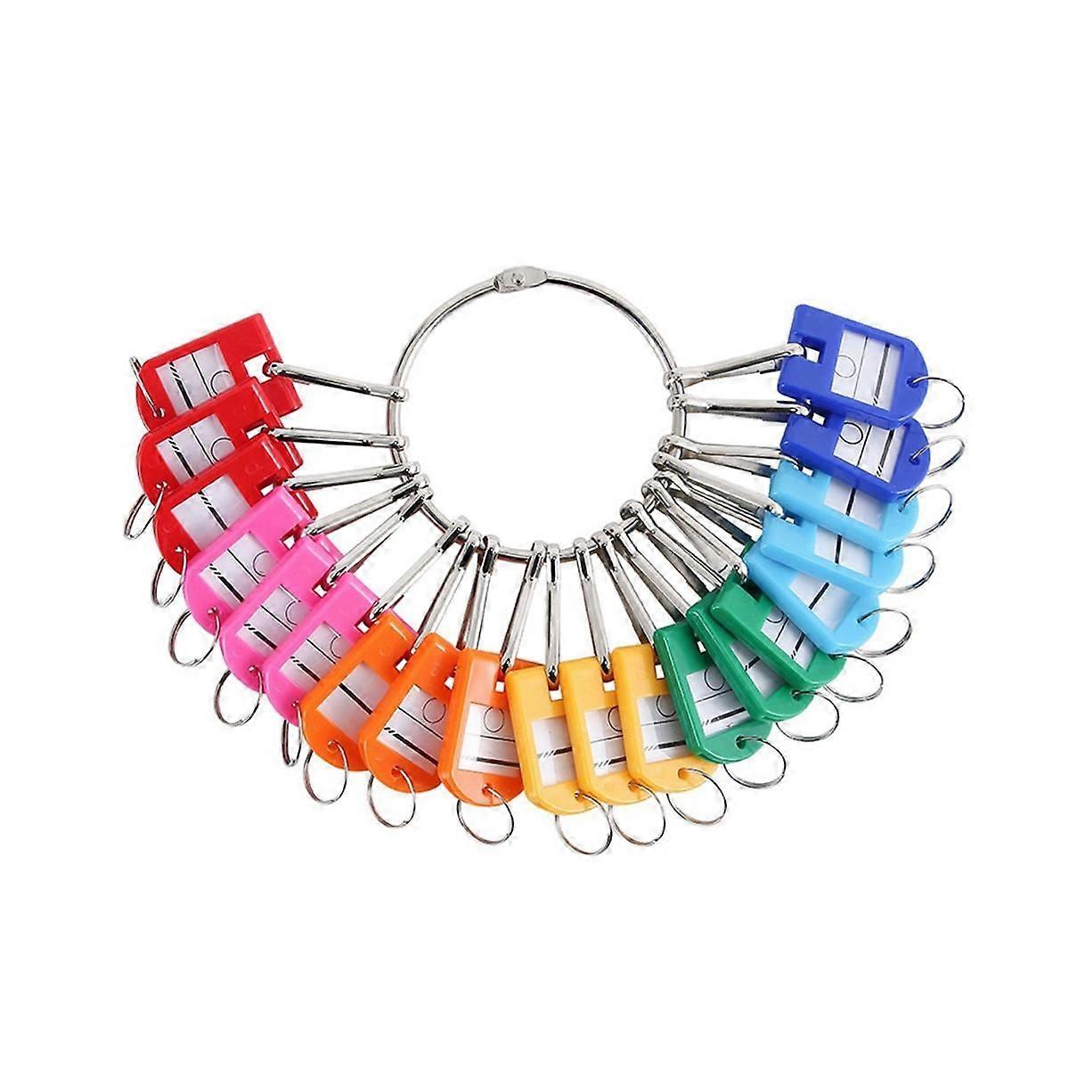 Portable Metal Ring Key Organizer with 30 Spring Hooks & Key Tags with Ring and Label Window