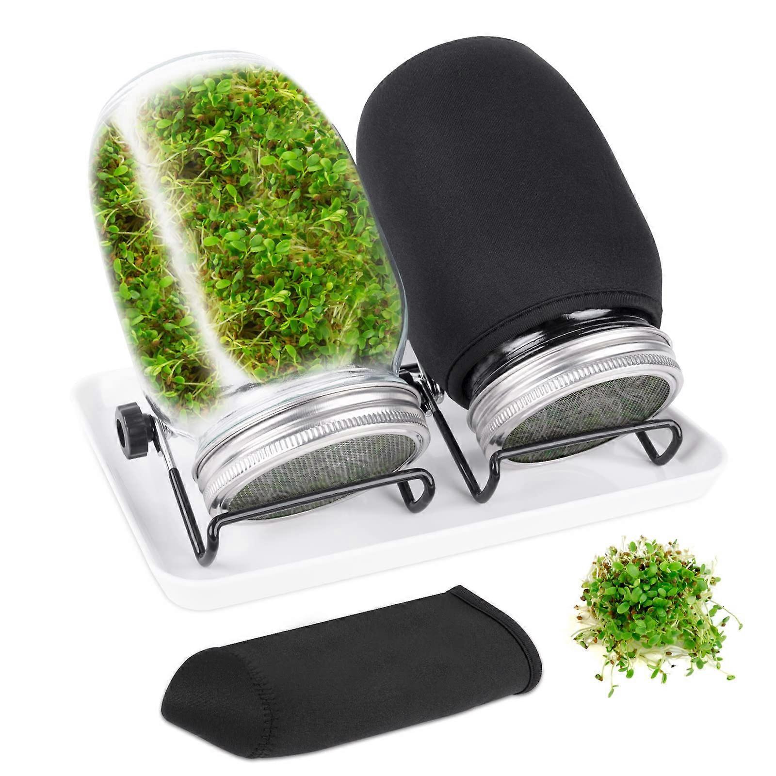 Seed Sprouting Jar Kit With 2 Wide Mouth Jars, Bean Sprouts And Microgreens Kit, Mesh Screen Lids