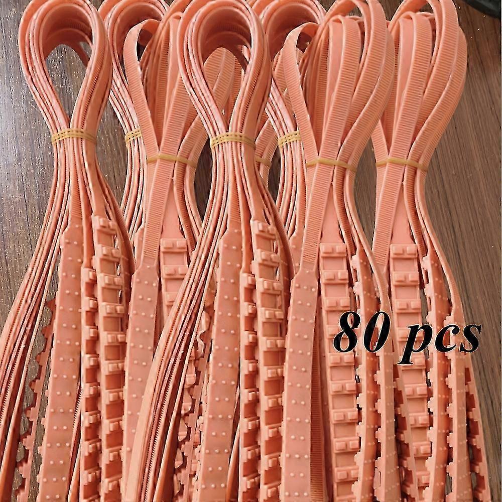 2025 B Grade Single Car / SUV Zip Tie com dentes duplos