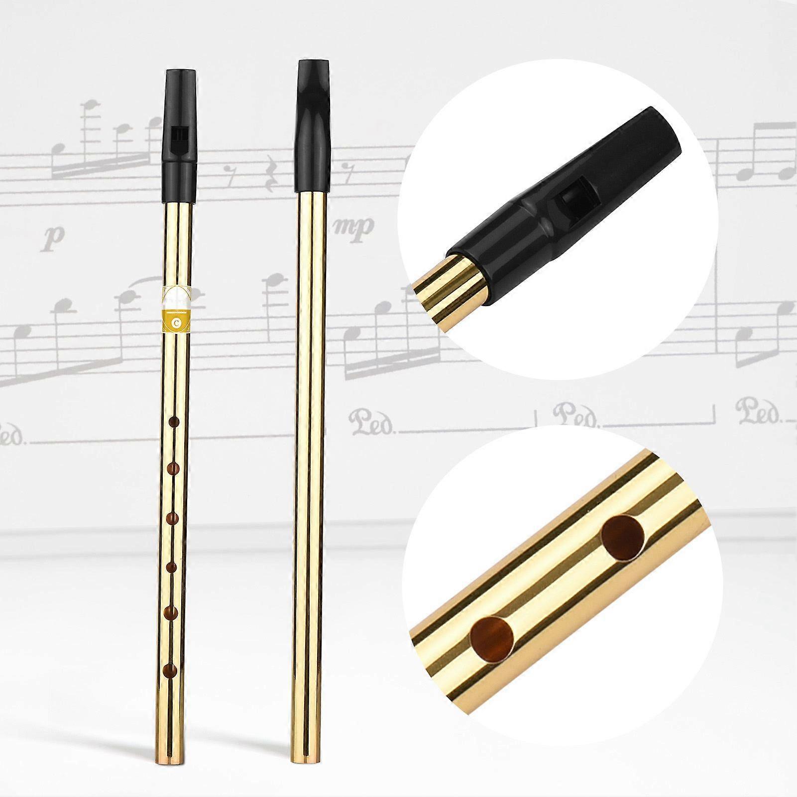 Irish Whistle Flute Key of C 6 Holes Flute Wind Musical Instruments for Beginners Intermediates Experts