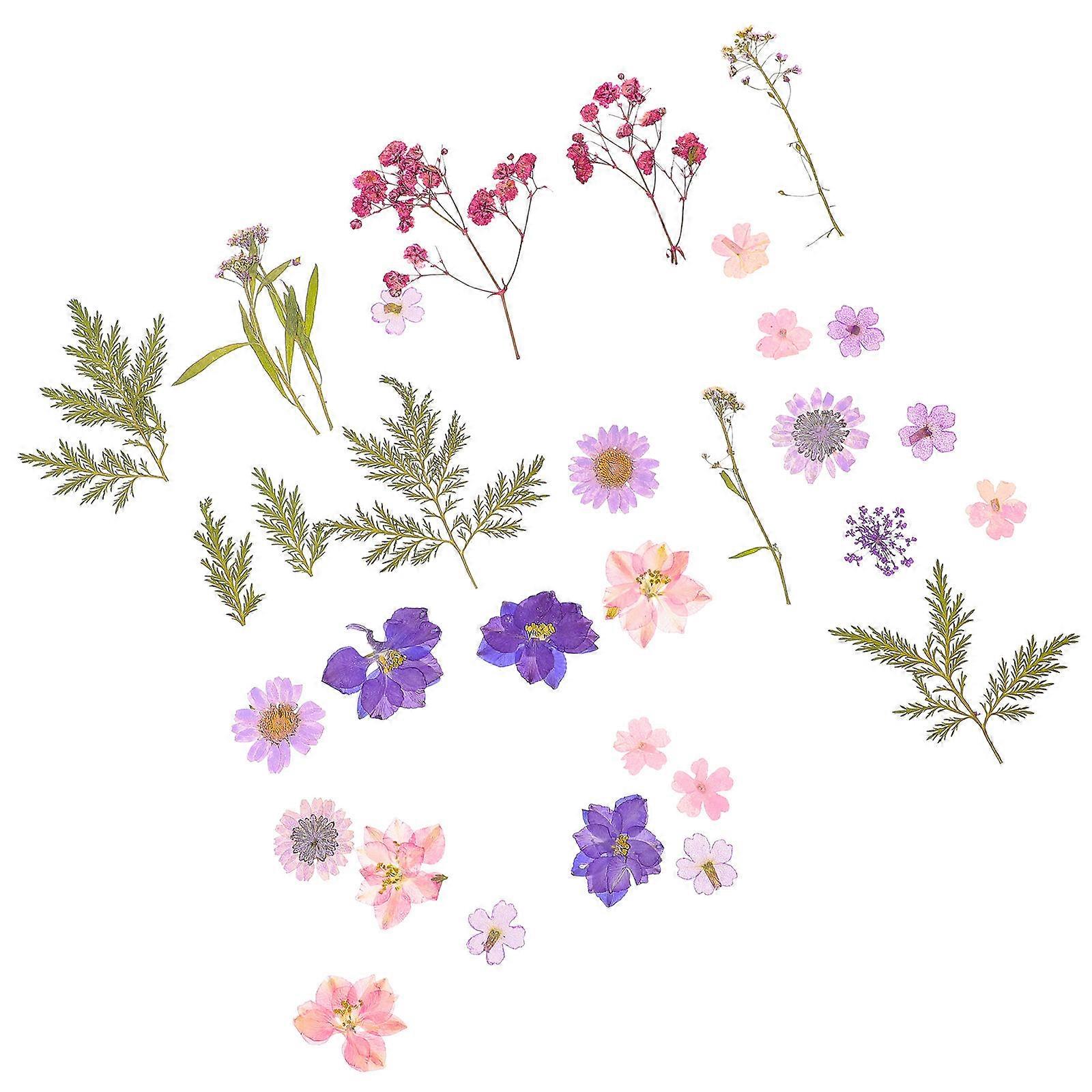 Pressed Flower -Colored 4x4cm Scrapbooking Artists 27Pcs/Set