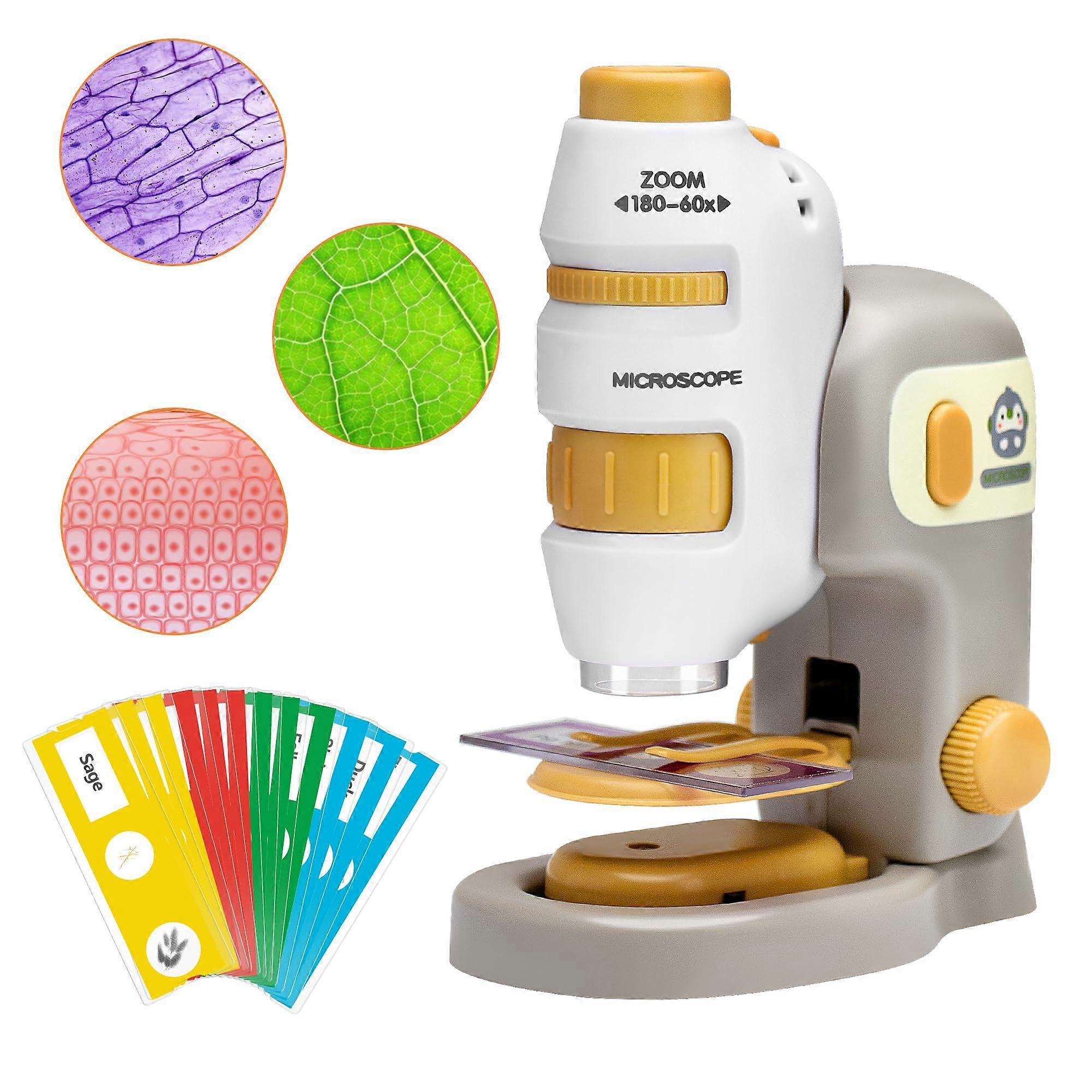 2-in-1 Detachable Microscope, 60-180x Mini Microscope for Kids