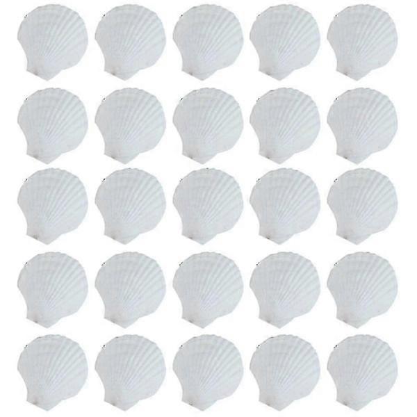 25 pcs scallop shells for DIY crafts colorful shells - Xin