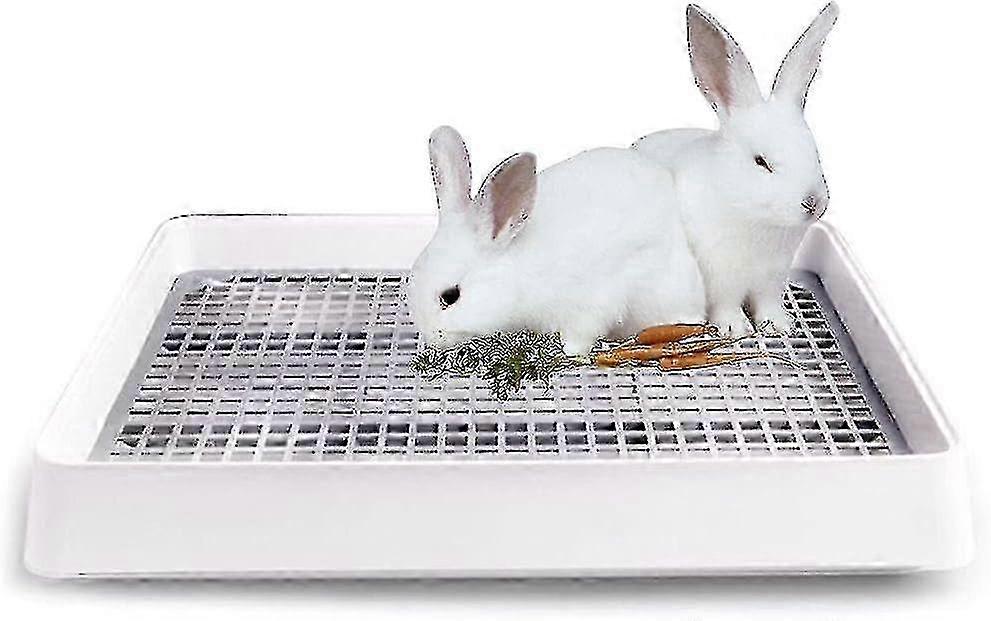 Extra Large Rabbit Litter Pan 22x18 With Grate for Bunny Restroom