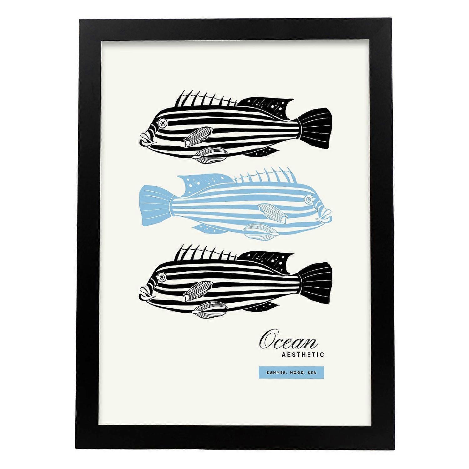 Zebrafisch Poster