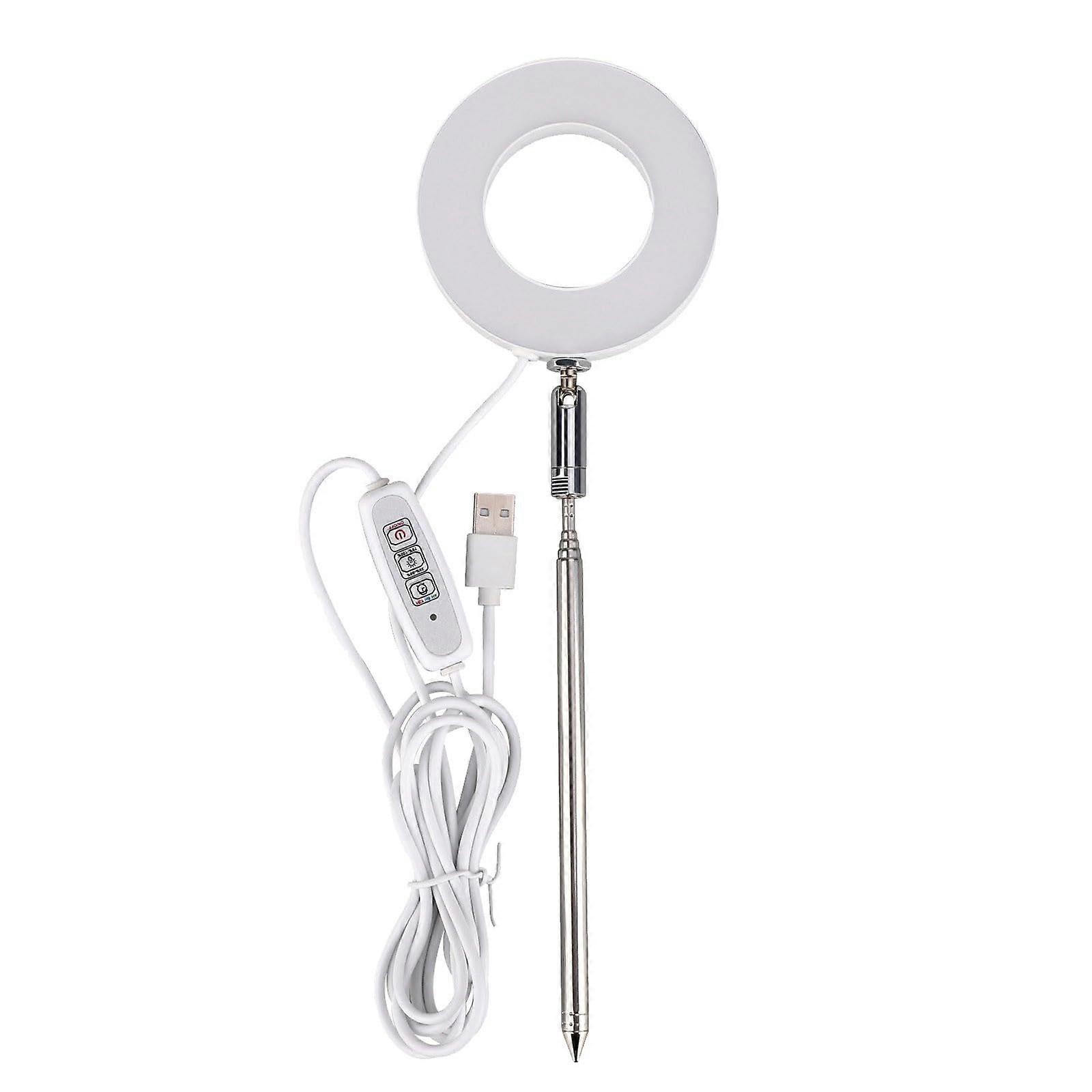 Solar Light Outdoor Grow Lights - 20 LEDs Height Adjustable Indoor Growing Lamp with Auto On/Off Timer and 4 Speed Dimming (White, One Size)