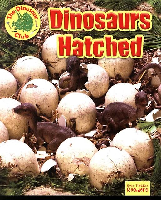Dinosaurs Hatched by Ruth Owen Paperback Book