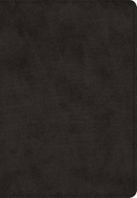 Esv Super Giant Print Bible Paperback Book