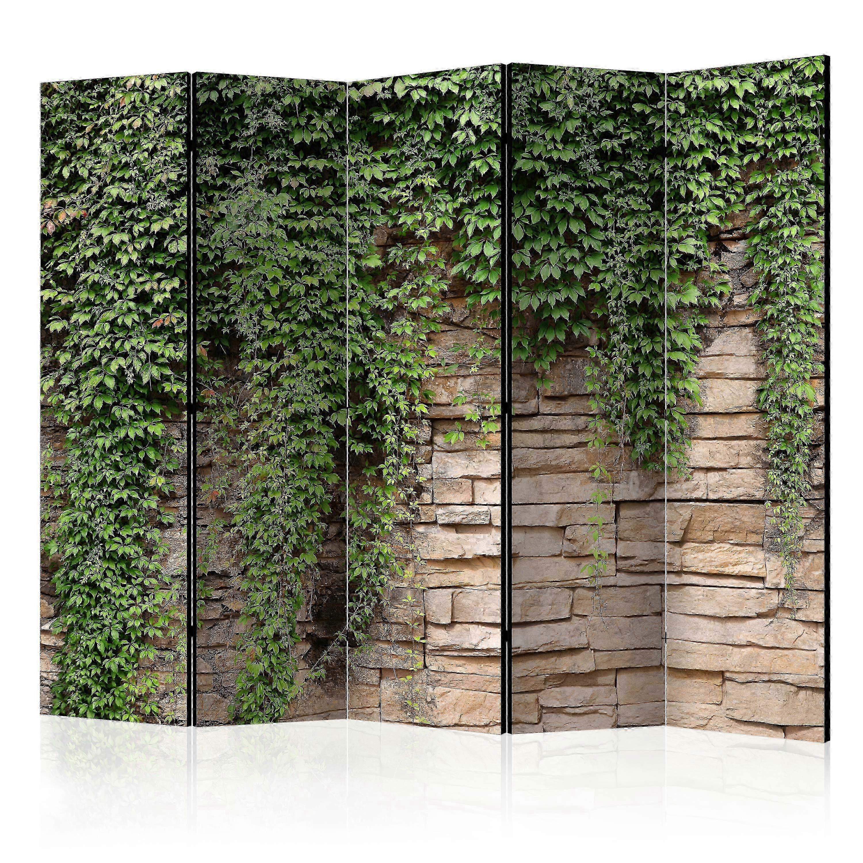 Divisória - Ivy wall II