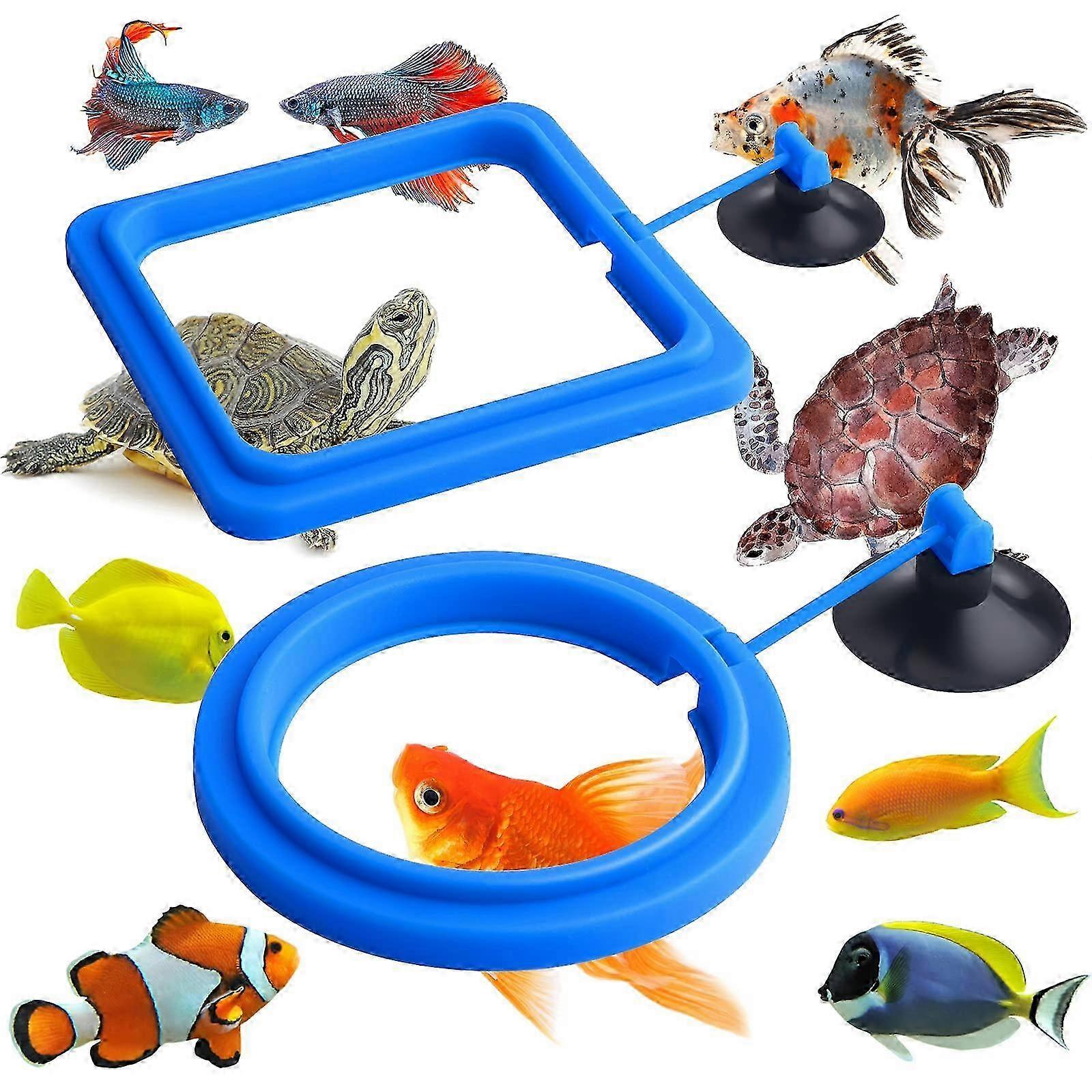 Fish Feeding Ring,2 PCS Aquarium FisH Feeder,Fish Feeder(Blue)