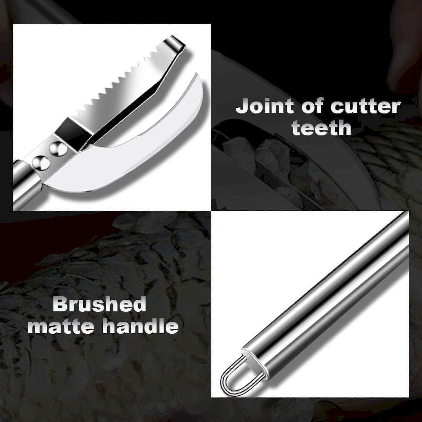 Multi Fish Scale New Multifunction Stainless Fish Scale Fish Cleaning Kit Fish Scales Scraping Tool For Home Market Restaurant