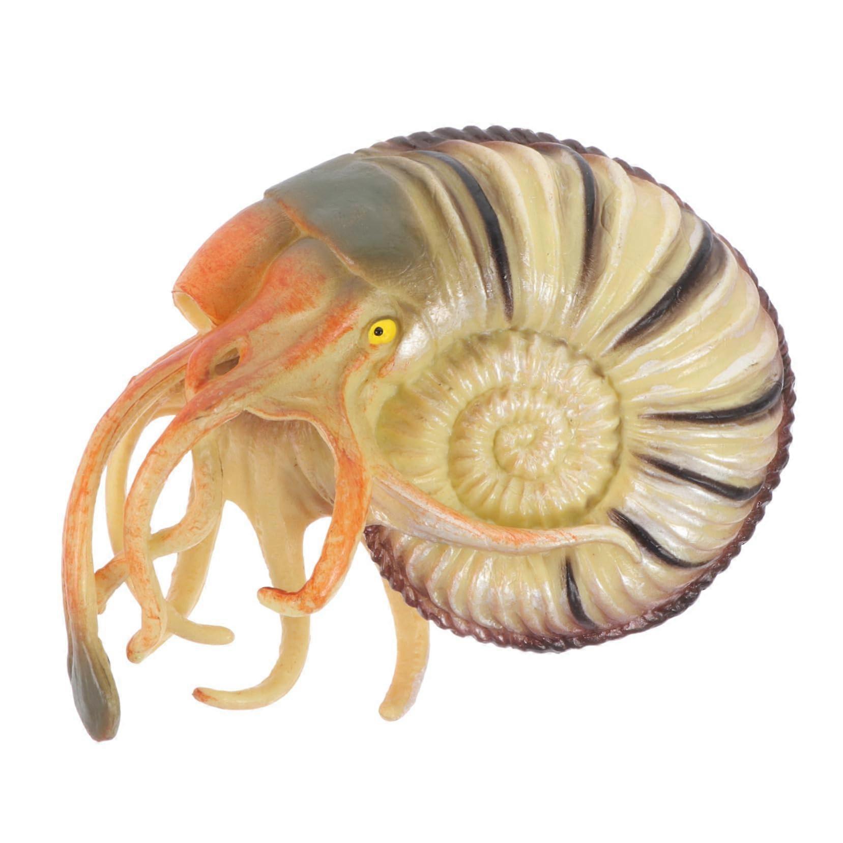 Nautilus Model Toy for Boys and Girls, Lightweight Simulated Nautilus Animal Decoration for Aquarium or Desk, Promotes Creativity