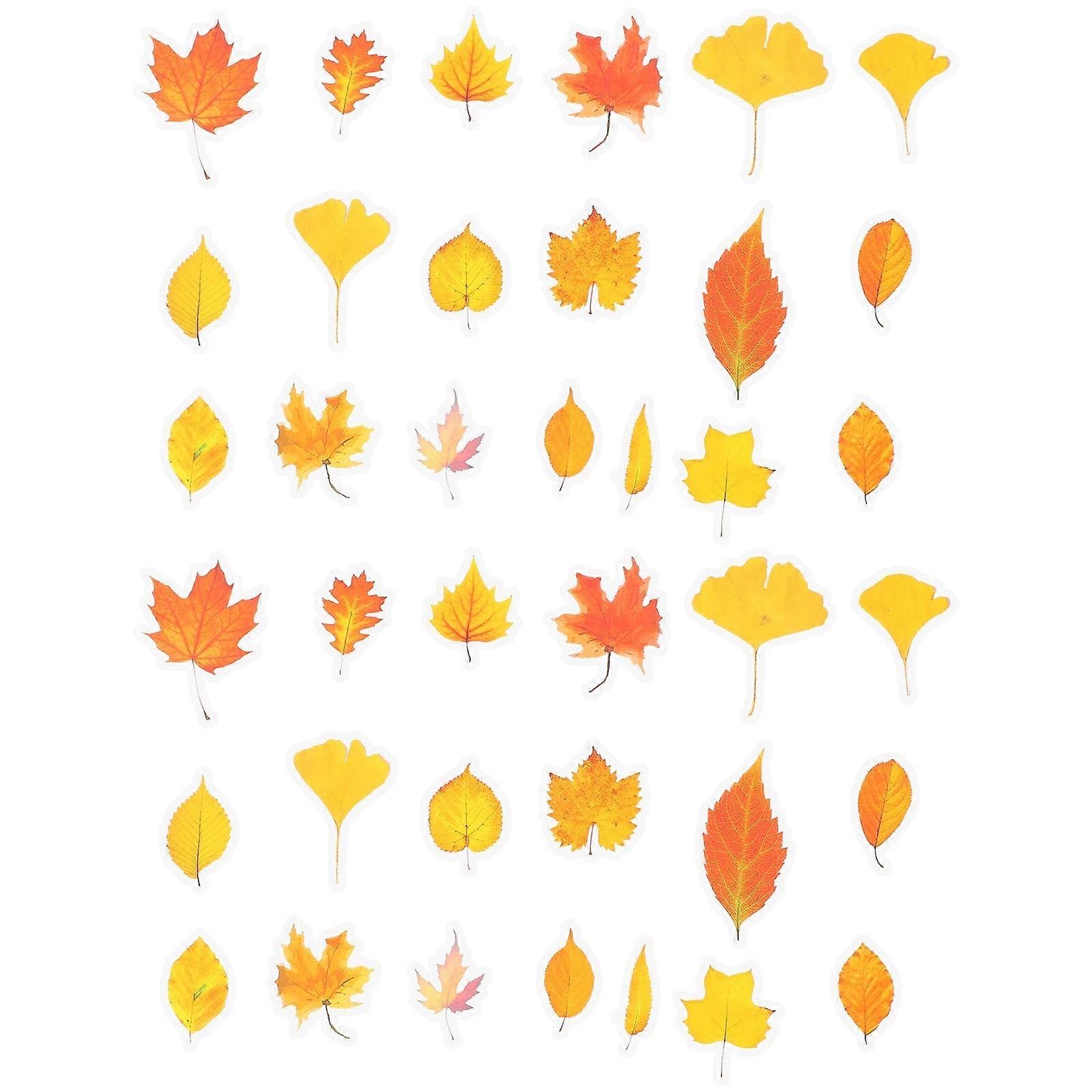 Cute Scrapbook Stickers for Creative Projects, Durable and Versatile