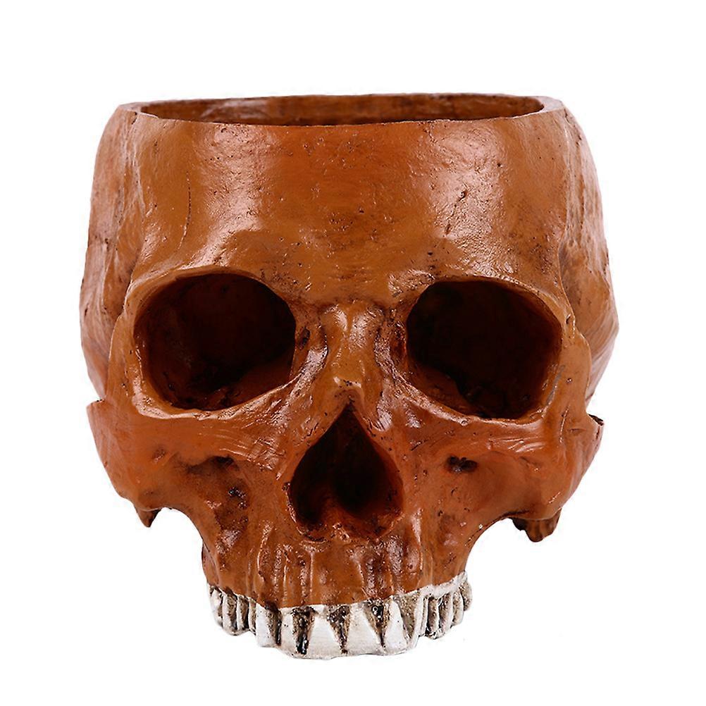 Decorative Skull Pot, Practical Planter and Photo Shoot Prop