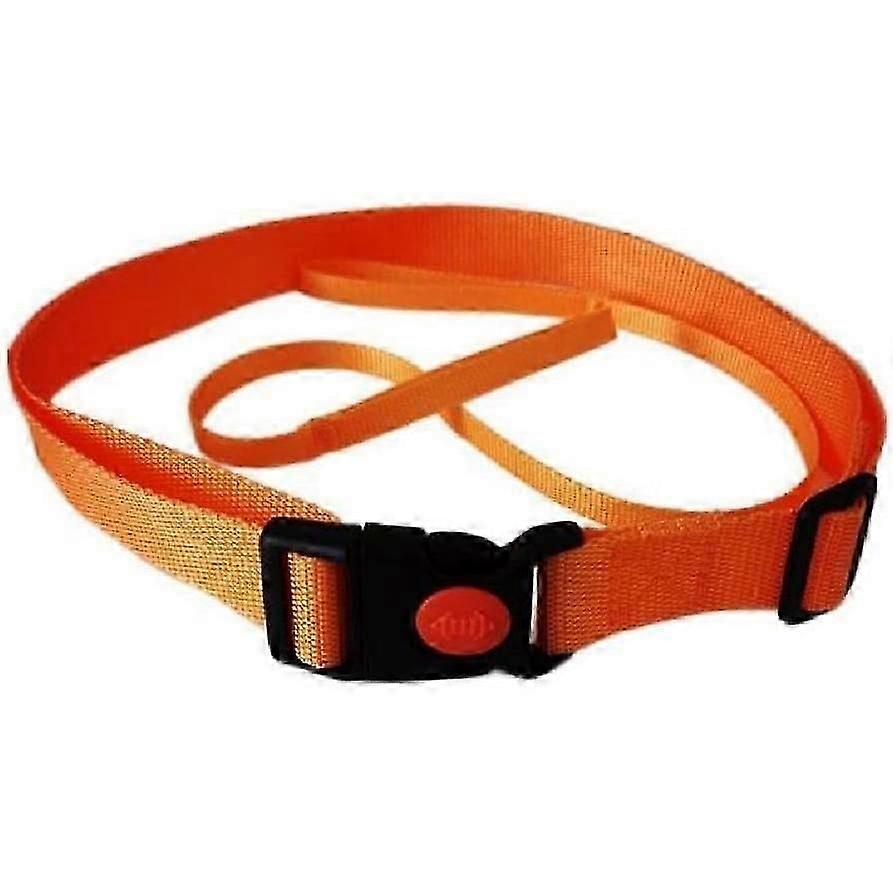 Static swimming belt, swimming training belt, 2 pieces