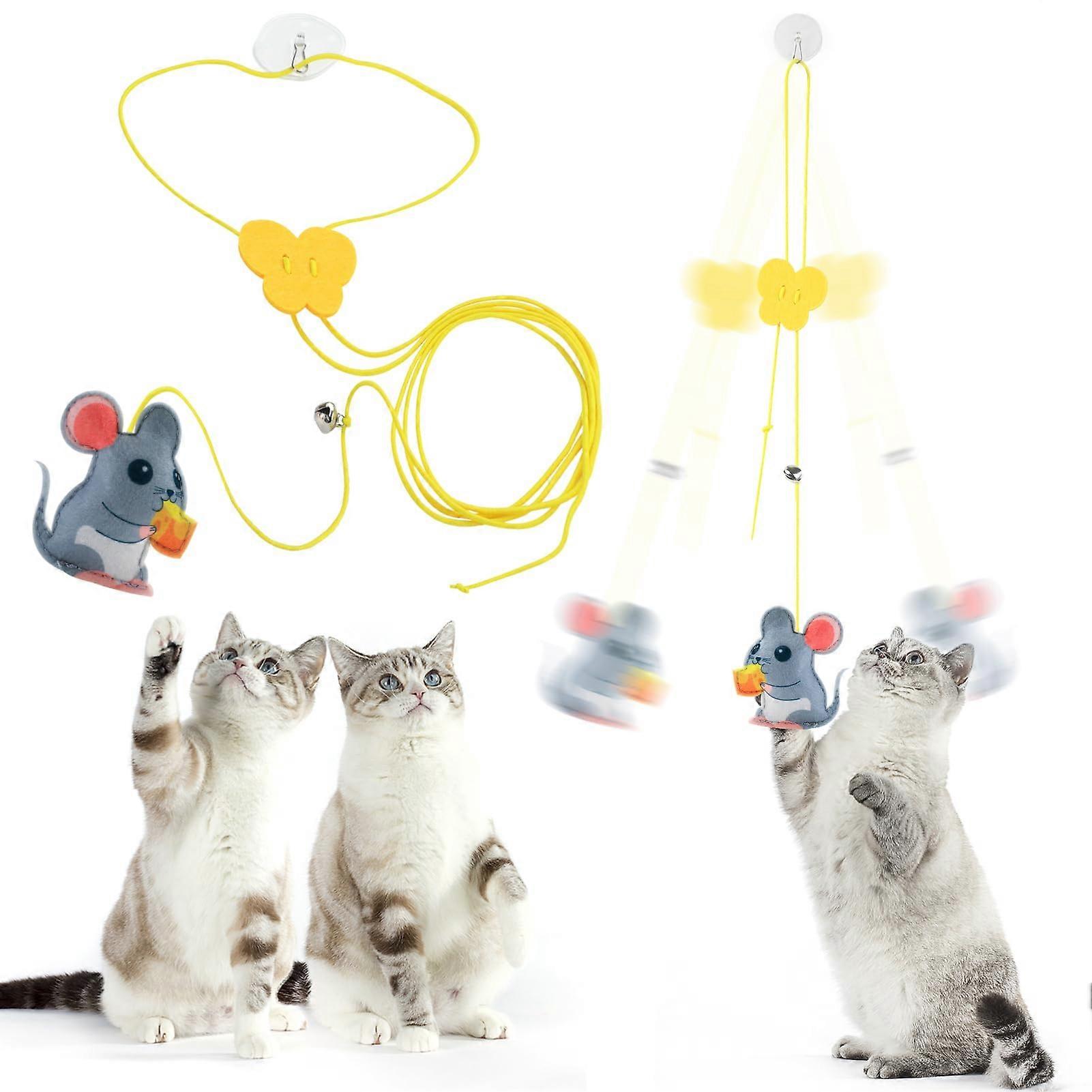 Interactive Hanging Cat Toy With Catnip And Elastic Rope For Kittens