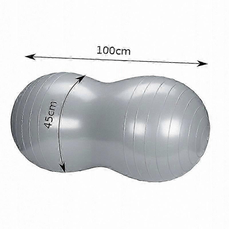 Exercise Ball for Fitness and Recovery Training