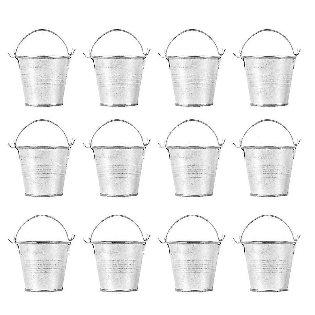 Mini Metal Pails Small Metal Buckets for Storage Use 24Pcs Silver