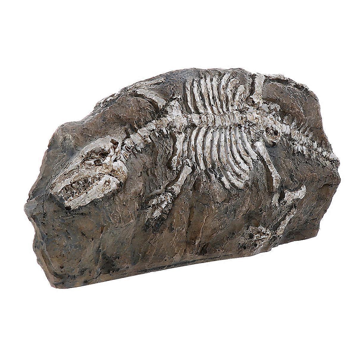 Fish Tank Decorations Dinosaur Fossil Ornament for Decoration 2Pcs Resin