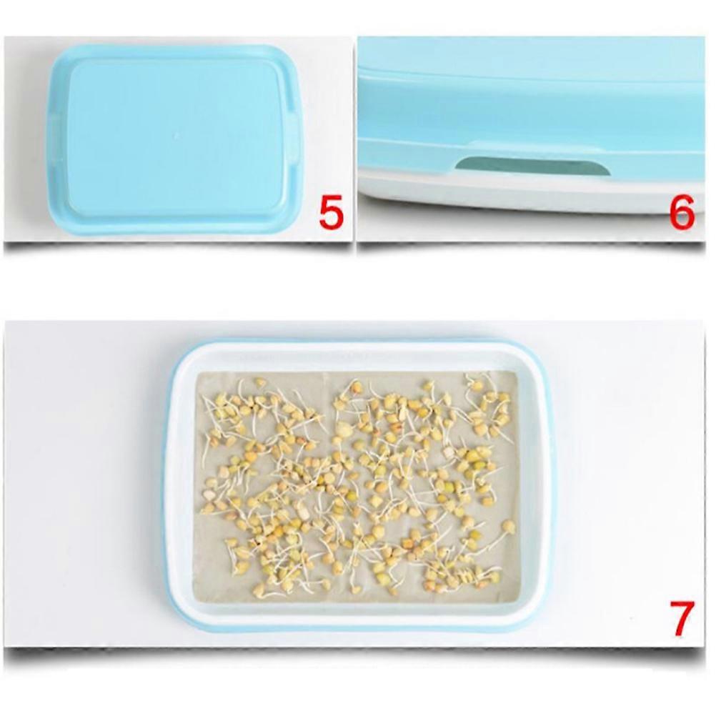Sprouter Tray Set Multifunctional Wheatgrass Grower for Planting