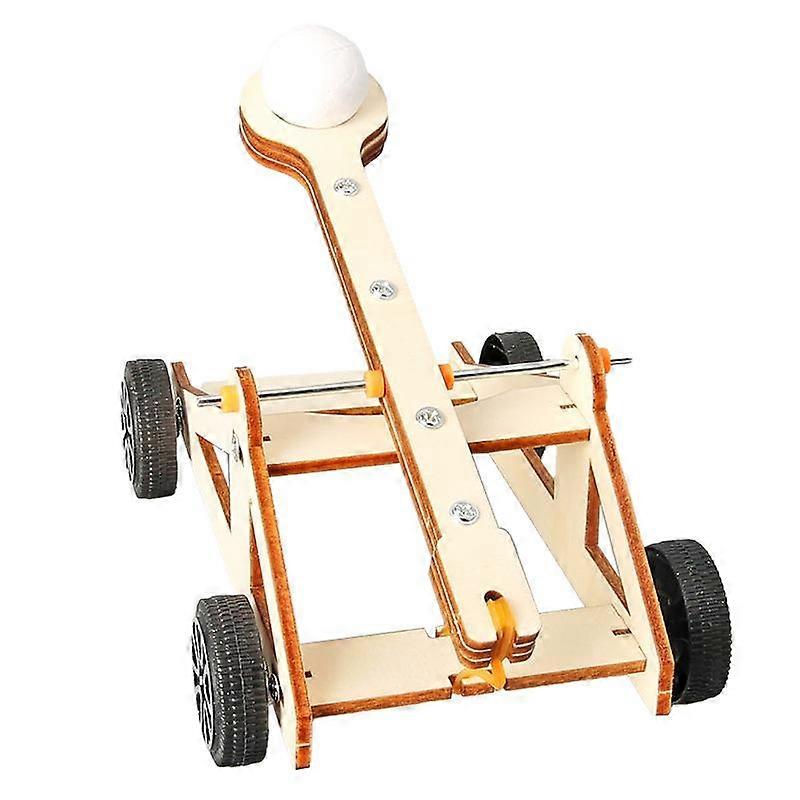 DIY Project: Physics Science Experiment Kit & Catapult Toy, Fun Educational Setcompatible with Children