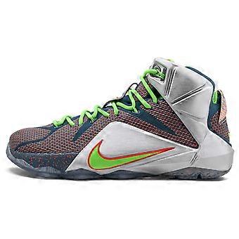 Nike LeBron 12 Trillion Dollar Man 705410-430