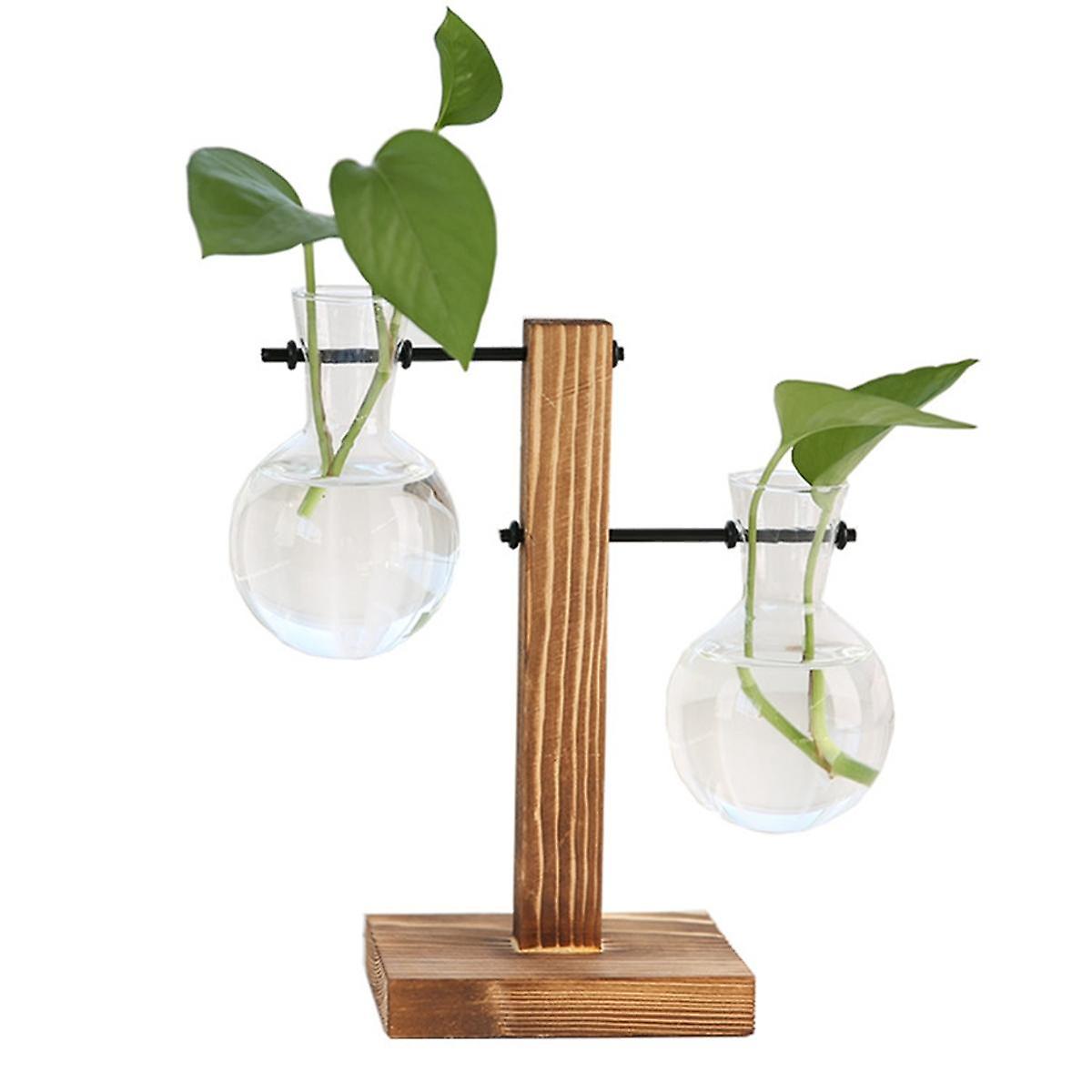 C Plant Propagation Stations Desktop Plant Terrarium,Glass Planter with Stand,Propagation Station f