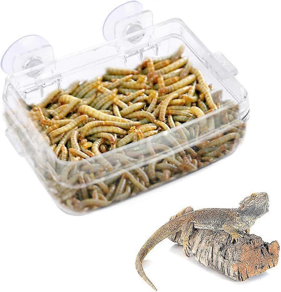 90*60*35mmreptile Feeder,amphibians Reptiles Feeder Anti-slip Transparent Feeding Basin For Worms With Suction Cup For Lizards Gecko Chameleons Feeder