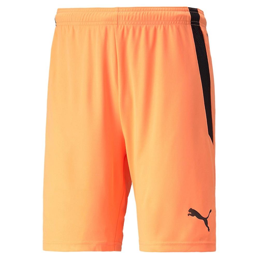 Pantalón Puma Teamliga 70492421