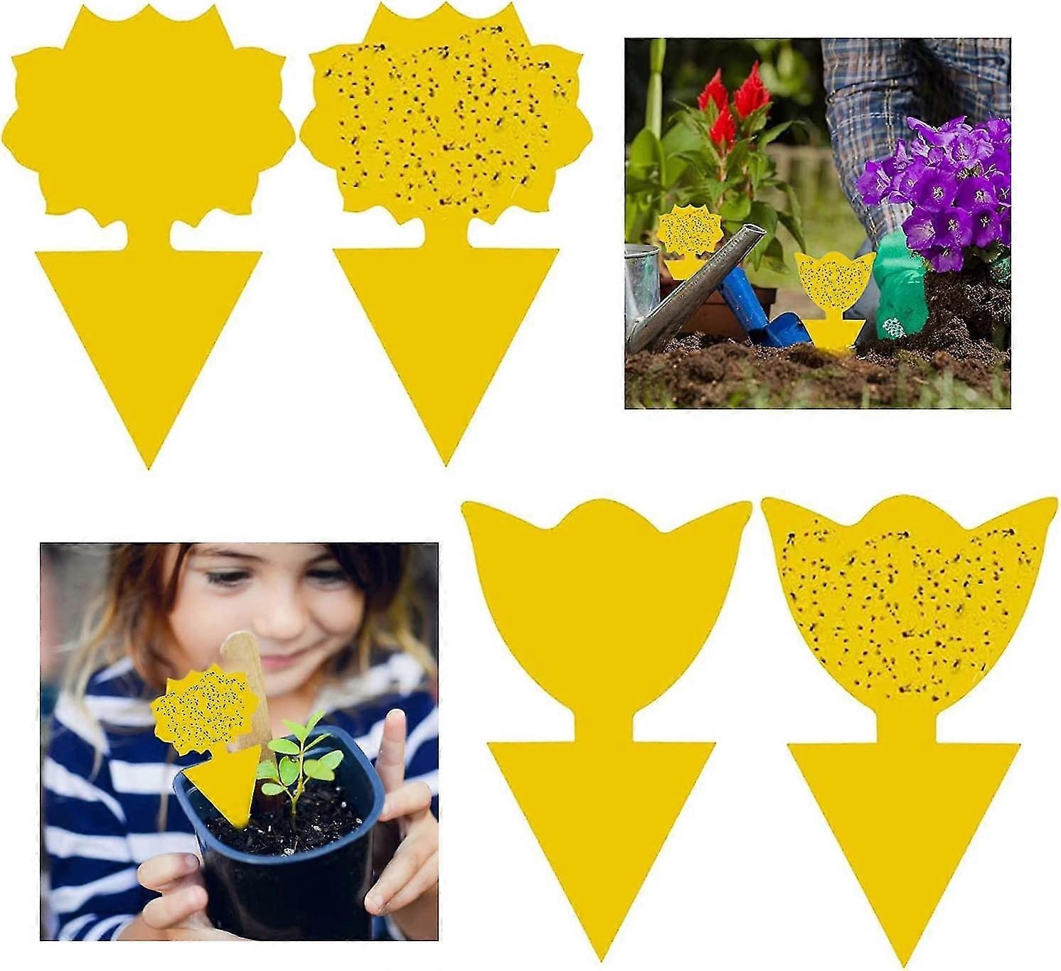50pcs Plug-in Insect Traps Sticky Traps Double Glue Stickers, Leaf Flies And Vermin, Ideal For Balcony Or Garden Plants(2 Shapes)