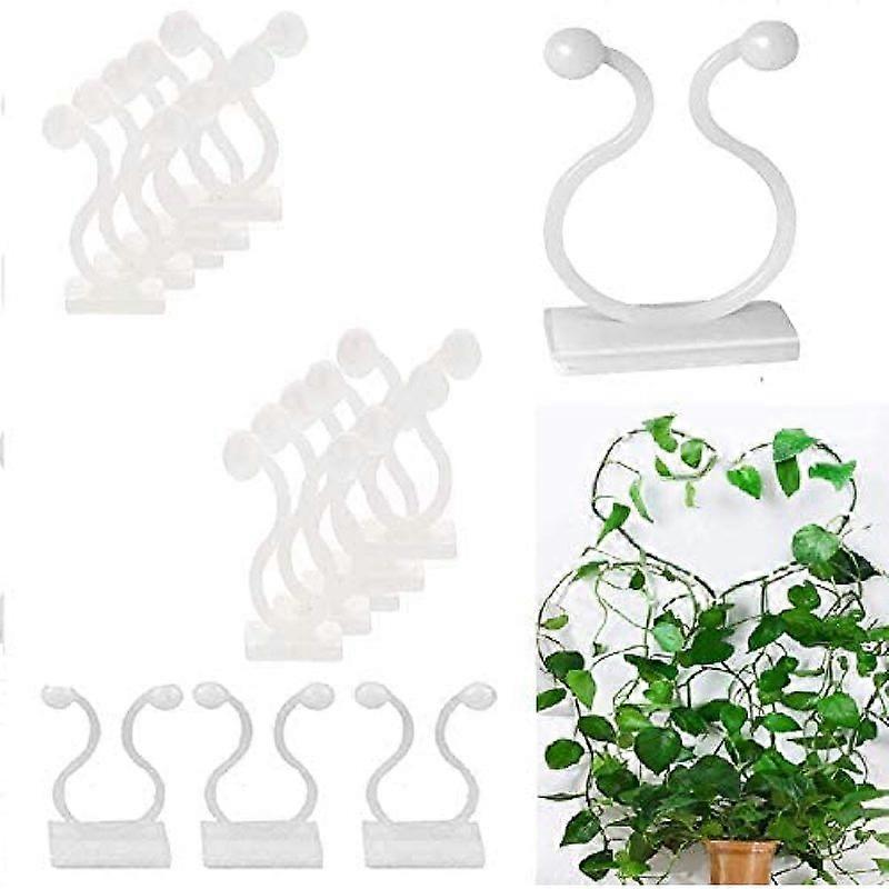 Plant Clips, Cable Ties, Adhesive Clips, Supports, Climbing Clips
